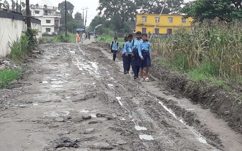 बिर्धाथीलाई सकस