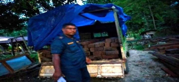 कन्काईमा काठ तस्करीको सकृयता बढ्दै